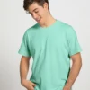 mint green t shirt for men franky bros brand