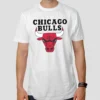 chicago bulls t shirt white printed jersey online india