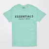 essentials tshirt printed mint t shirt for women india online