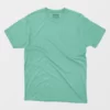 plain mint green t shirt pack of 2 buy online