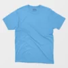 plain sky blue t shirt combo pack of 2 online