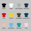plain t shirt combo pack of 10 pick any 2 buy online india